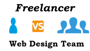freelancer vs web design company