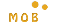 Mobit Solutions Presents Cost Effective IT Solutions