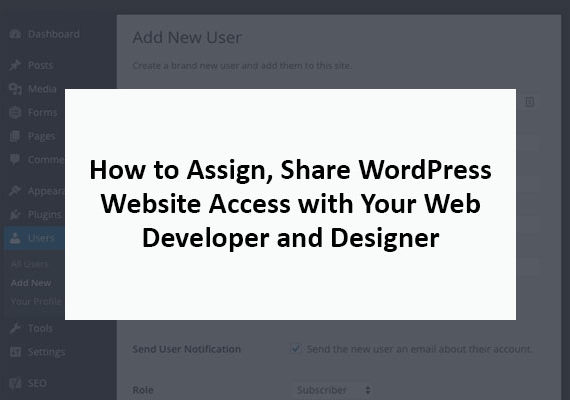 How to Assign, Share WordPress Website Access with Your Web Developer and Designer