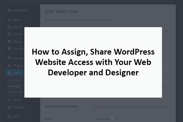 How to Assign, Share WordPress Website Access with Your Web Developer and Designer