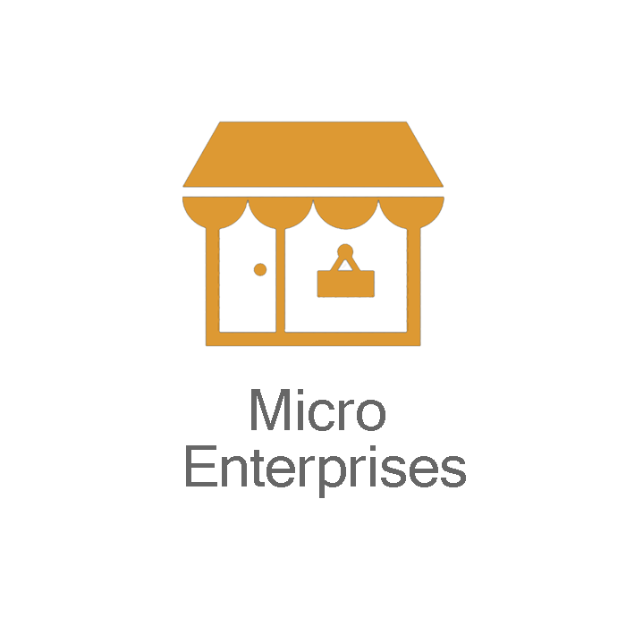 Micro Enterprises