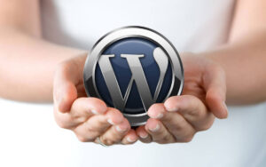 WordPress Dark Mode: Important Advantages and How to Implement It